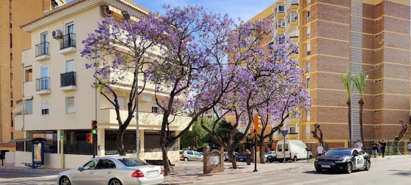 Estudio Arroyo de la Miel Benálmadena