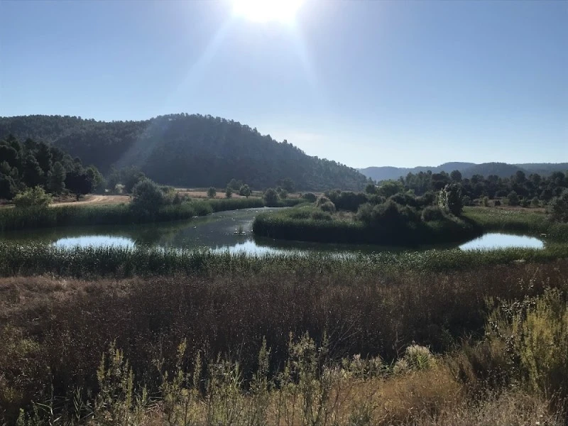 Finca La Campiñana
