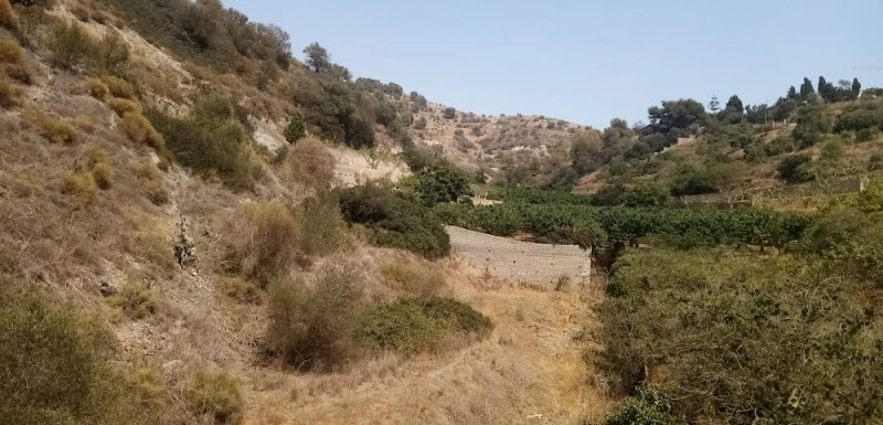 Herradura
