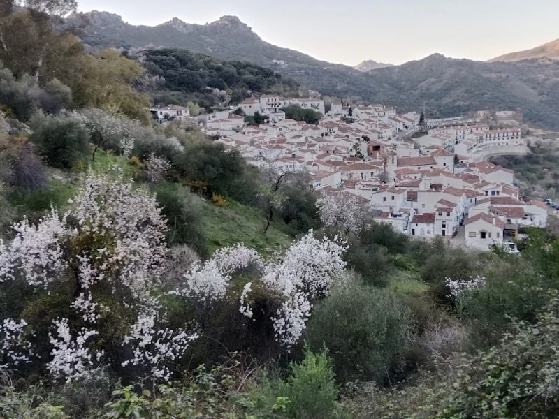Home in Nature