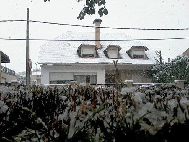 Hostal Los Calatravos