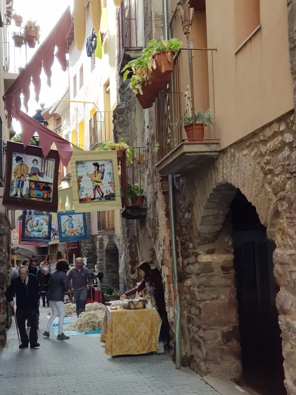 Hotel El Pedrís