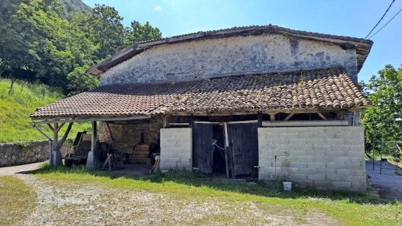 Jaunsolo molino