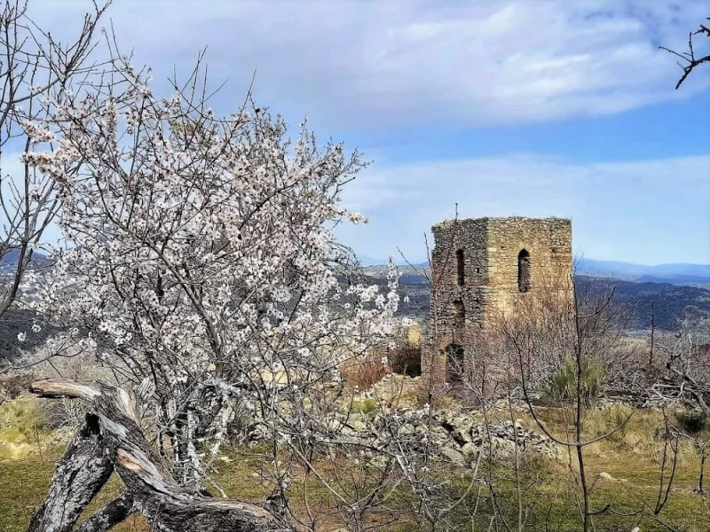 JINOBA25, ALOJAMIENTO RURAL