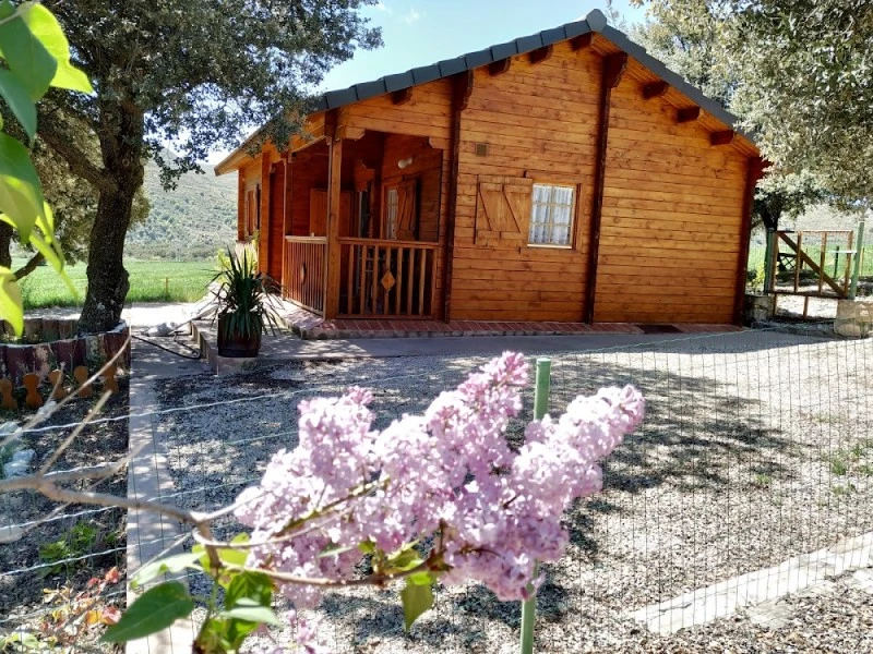 La casa del Estanque, casa rural en Olocau del Rey