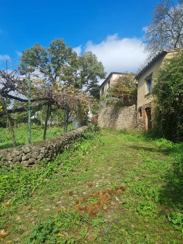 La casa junto al sendero del rio