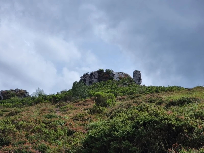 La garganta