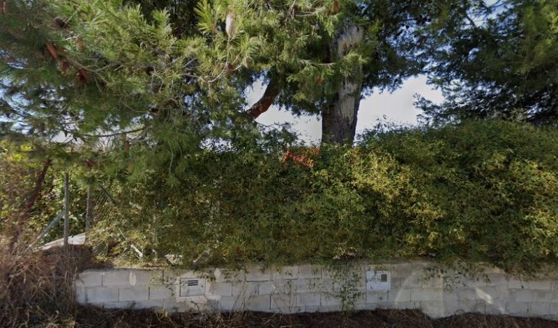 La huerta