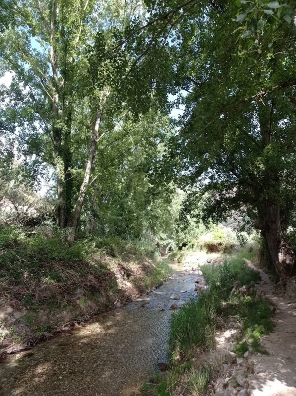 La huerta del Castillo