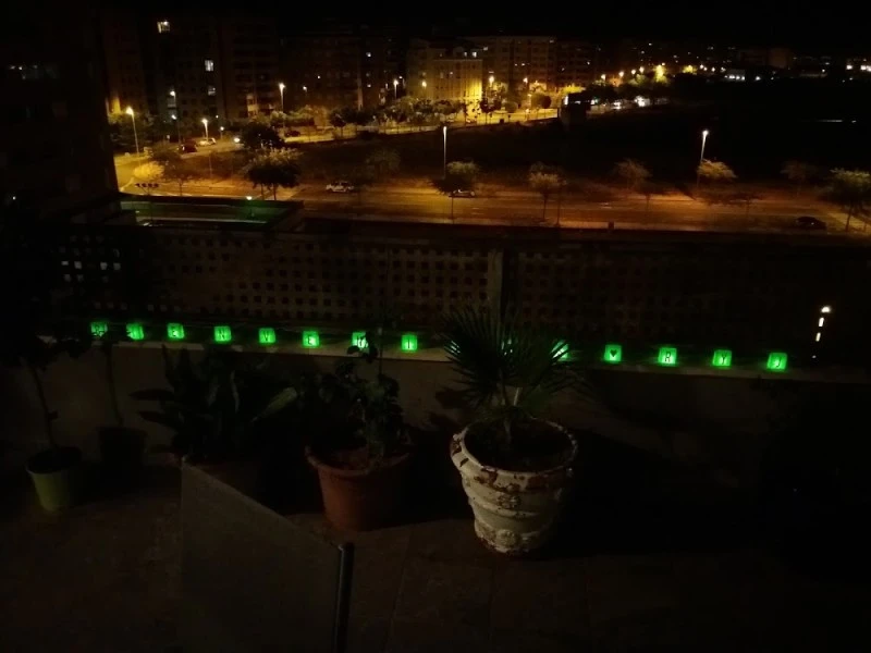 Las Buganvillas I