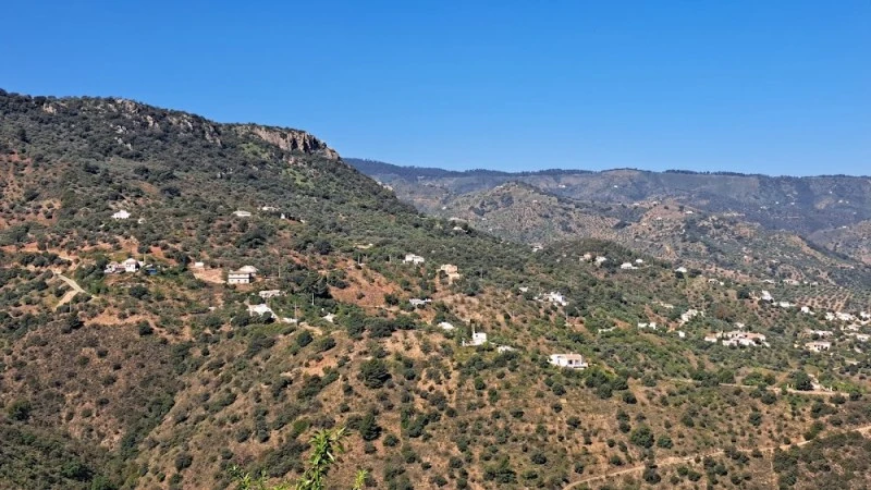 Las Encinillas 27