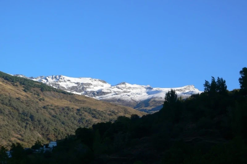 Le Chien Andalous Andalucia Rental Villas