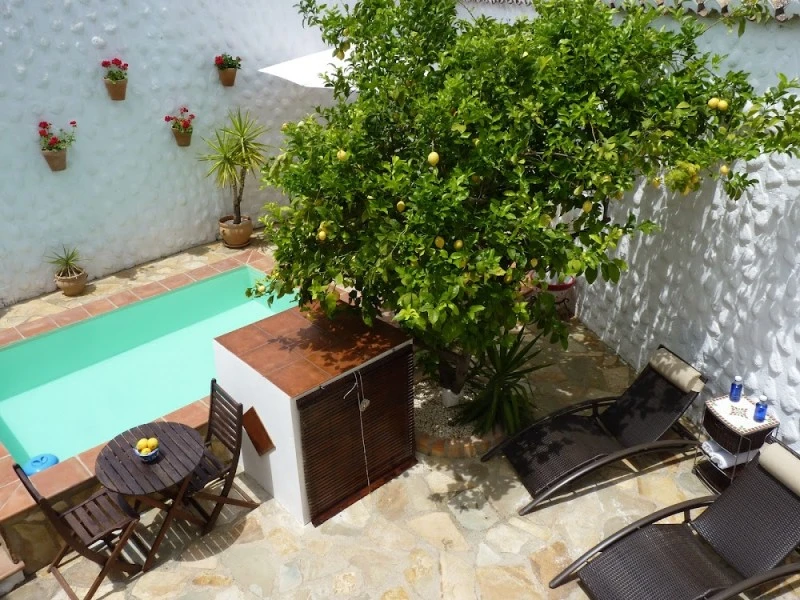 Lemon Tree Antequera