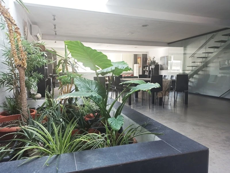 Loft Carrasketa, Alfafara
