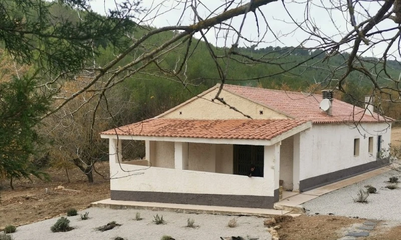 Mas Feliz