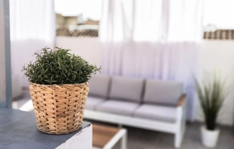 Mis Rayitos Apartamento Turístico Nº licencia: VFT/CO/01904