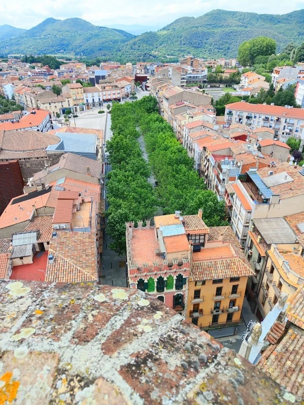 Olot