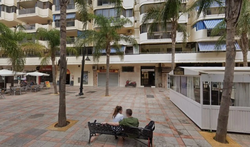 Palm Tree Apts