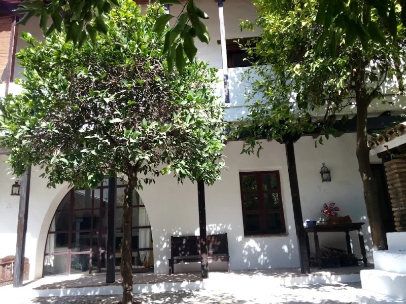 Patio del Limonero