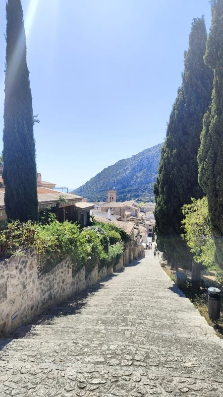 Pollenca