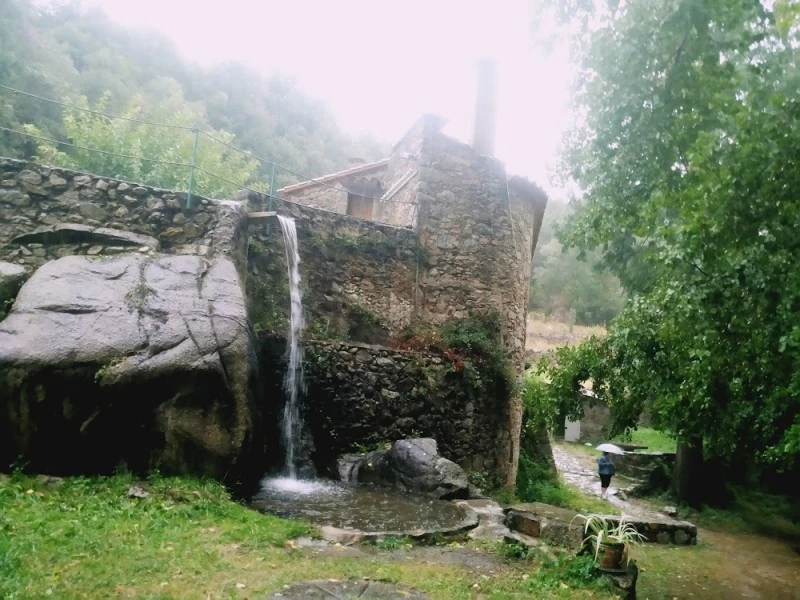 Refugio Mas Olivet