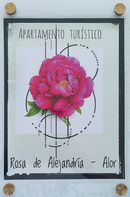Rosa de Alexandria - Alor (AT - BA-00199)