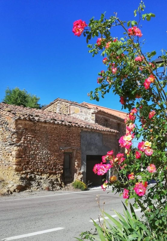 RURALVIVER