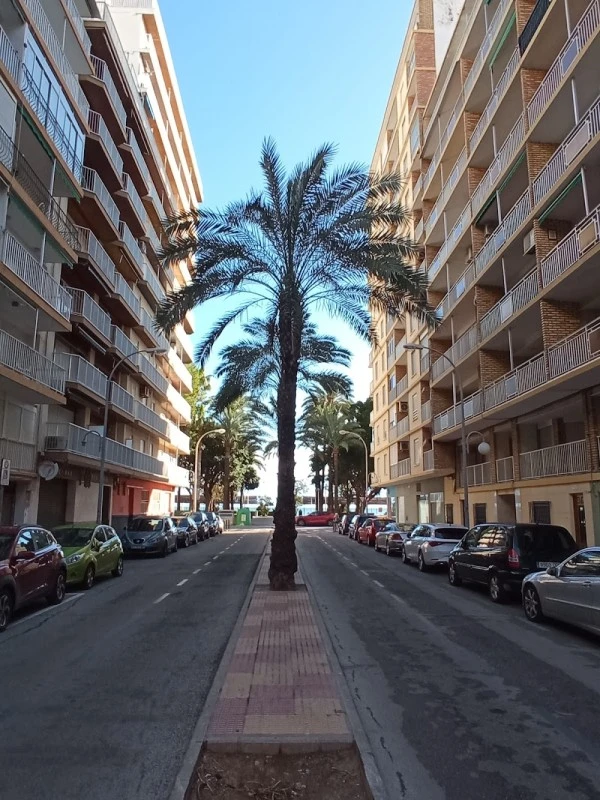 Santa Marta 1