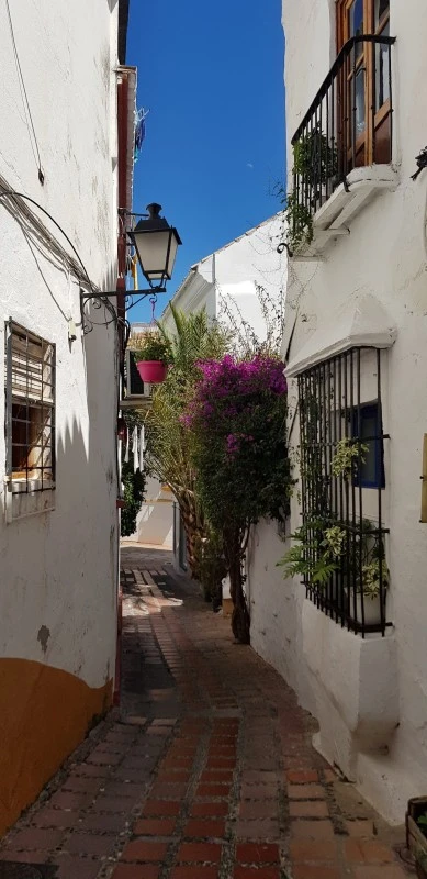 The Old Town Apartment