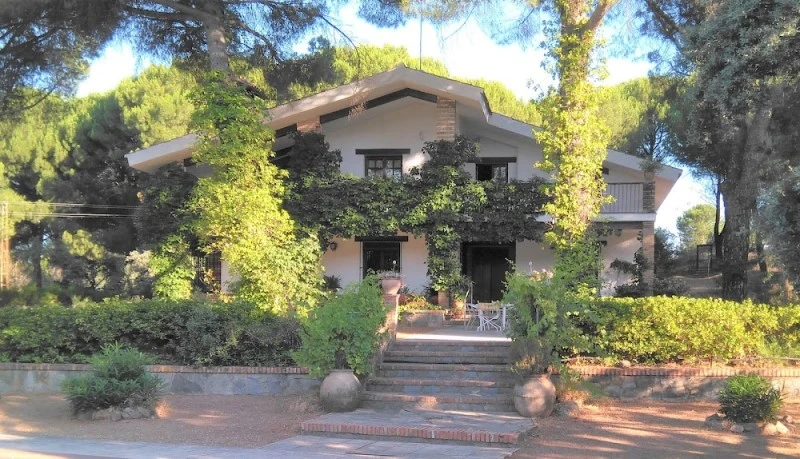 Viña Arroyo del Gallo