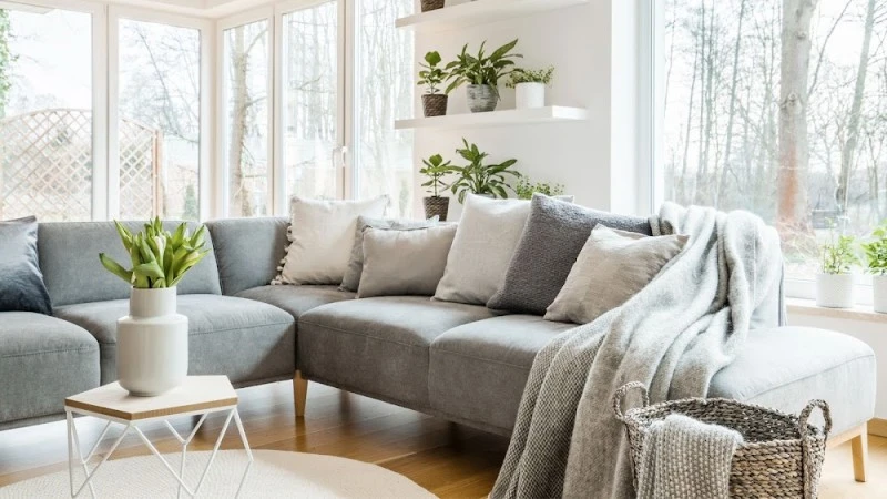 Álamo Home Properties