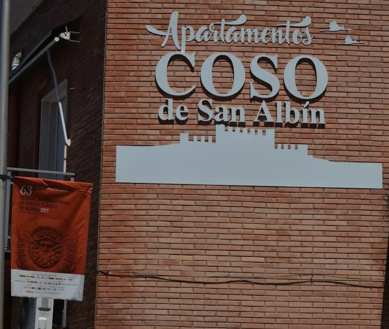 Apartamentos Coso de San Albin