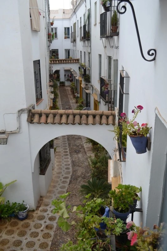 Apartamentos Guimar