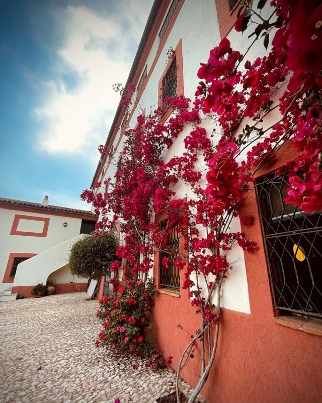 Hotel Posada de Valdezufre