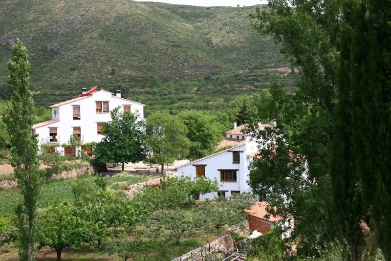 Mas De Noguera