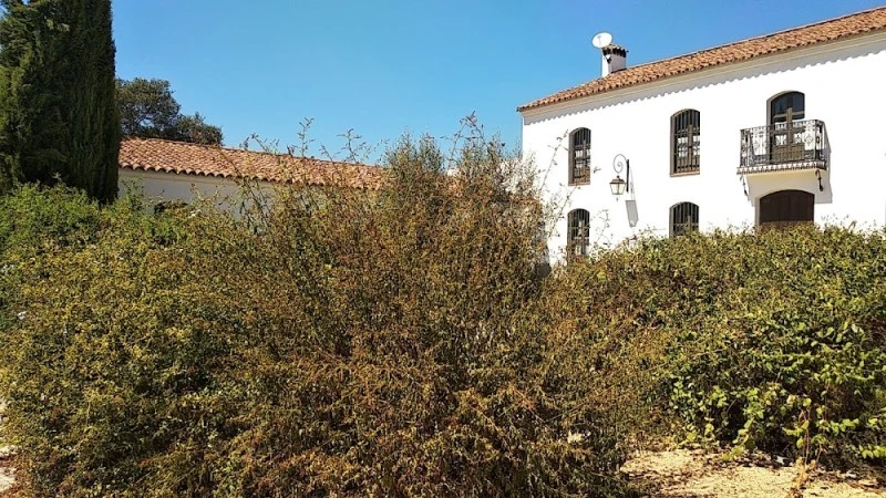 Casa Rural Fuentibáñez