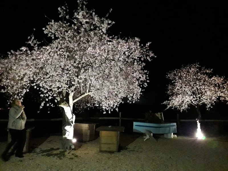 Vivienda Rural Las Viñas