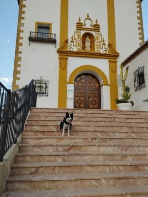 Venta del Rey