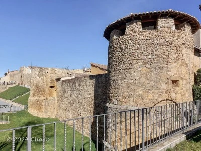 Castillo de Almanza