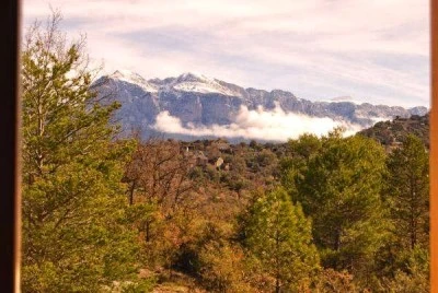 La Cicuarala