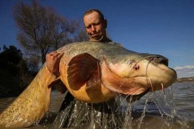 A&T Ebro Paradies