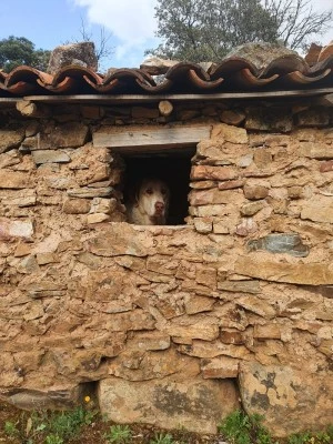 Casa Rural La Costana