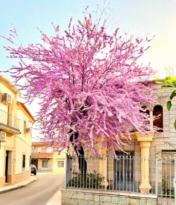 Casa Rural La Salamandrija