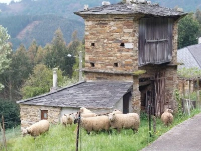 APARTAMENTOS A CASA NOVA