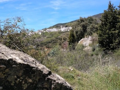 Cortijo La Viñuela