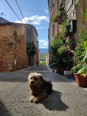 Cal Cabré del Priorat, casa de retiros & centro de terapias