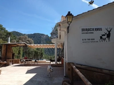 Miraciervos