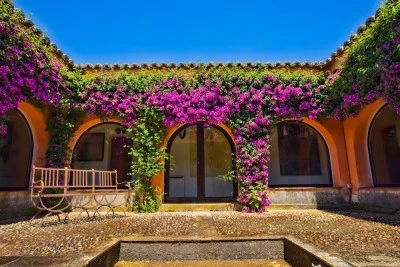 Finca Valmorisco