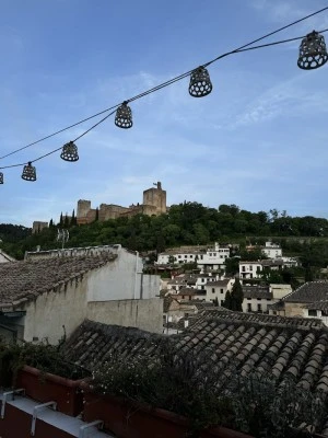 ADANAR-Muralla Zirí