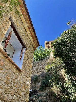 Áger, Lleida
